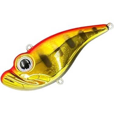 Amazon.co.jp 最新リリース: バスプラグ の新着ランキングです。